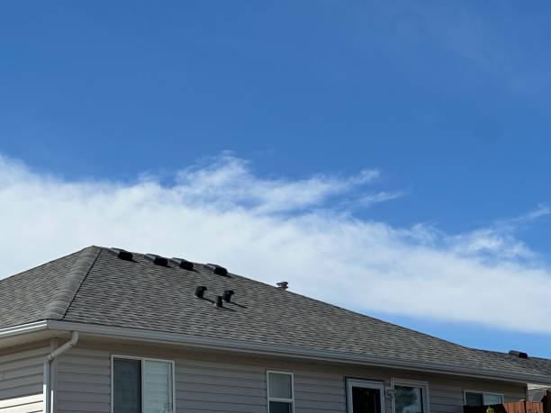 Best Hot Roofs  in Slippery Rock University, PA